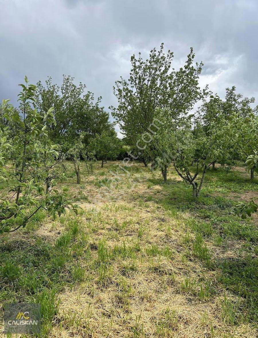 Emirseyit'te Satılık 3077 M2 Bahçe - Elektrik-su-yol Mevcut - Görsel 9