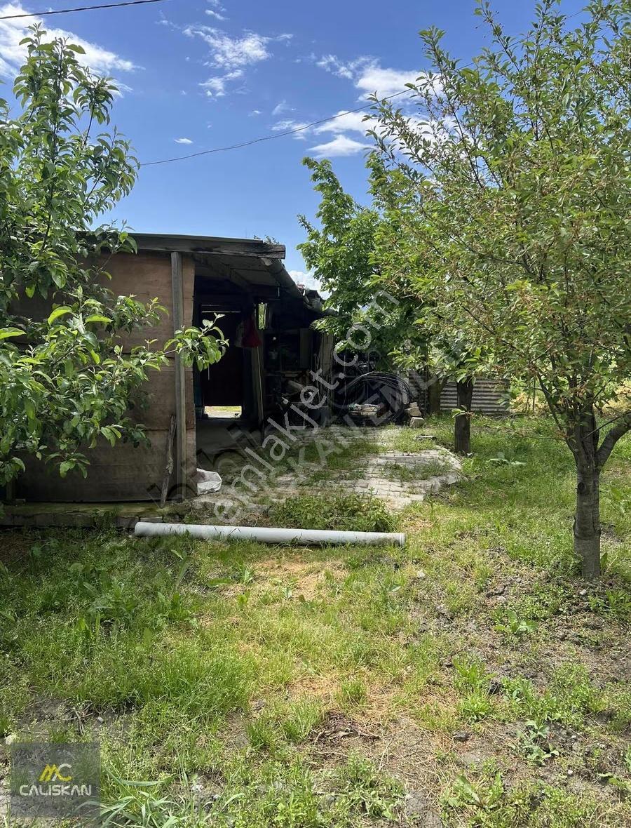 Emirseyit'te Satılık 3077 M2 Bahçe - Elektrik-su-yol Mevcut - Görsel 24