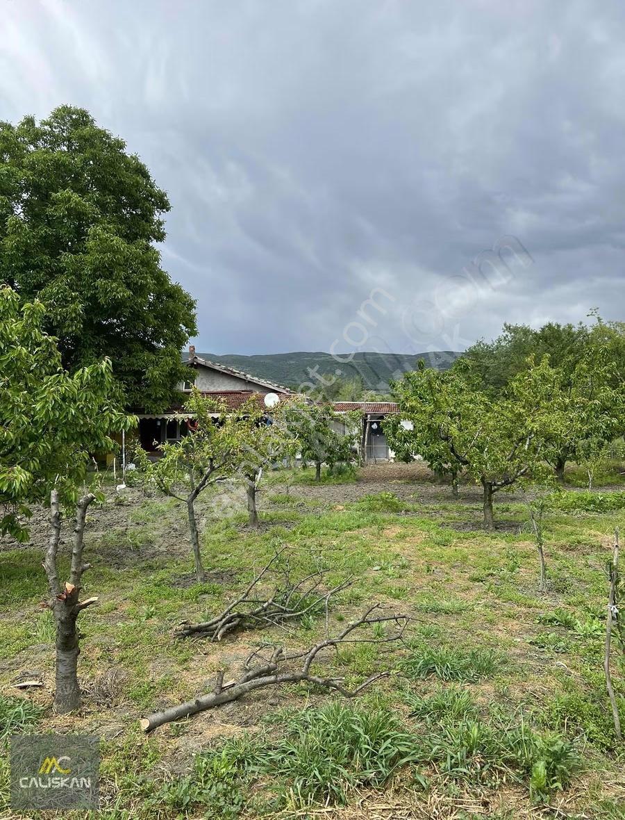 Emirseyit'te Satılık 3077 M2 Bahçe - Elektrik-su-yol Mevcut - Görsel 8