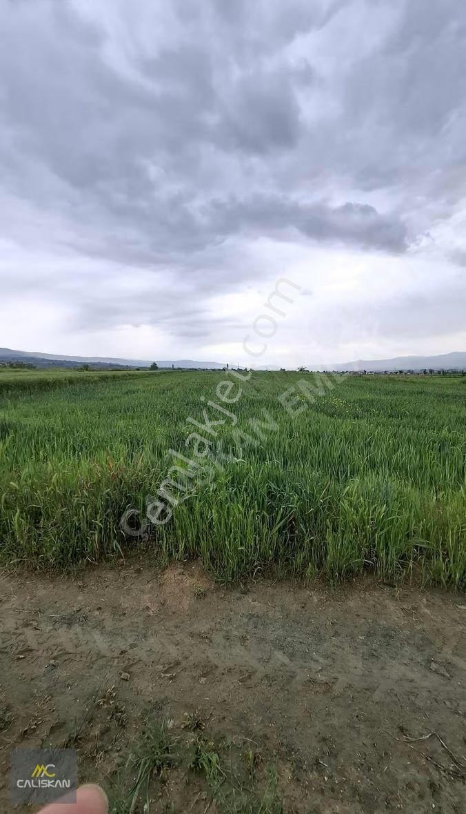 Kat Kasabası Satılık 3827 M2 Tarla - Görsel 6