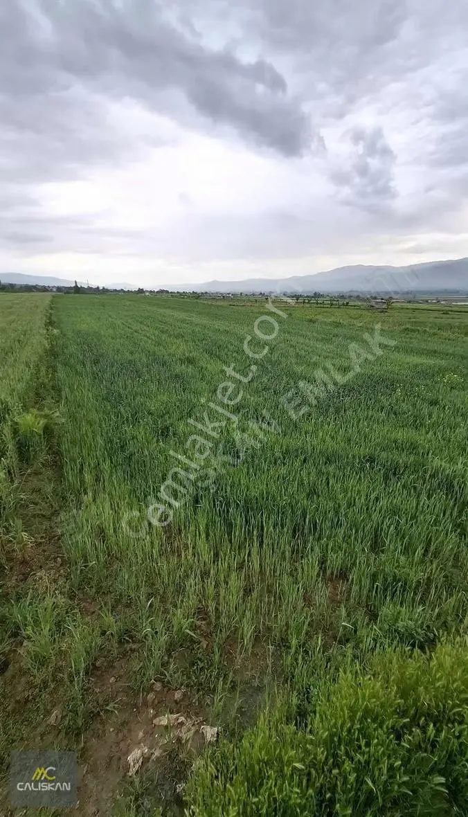 Kat Kasabası Satılık 3827 M2 Tarla