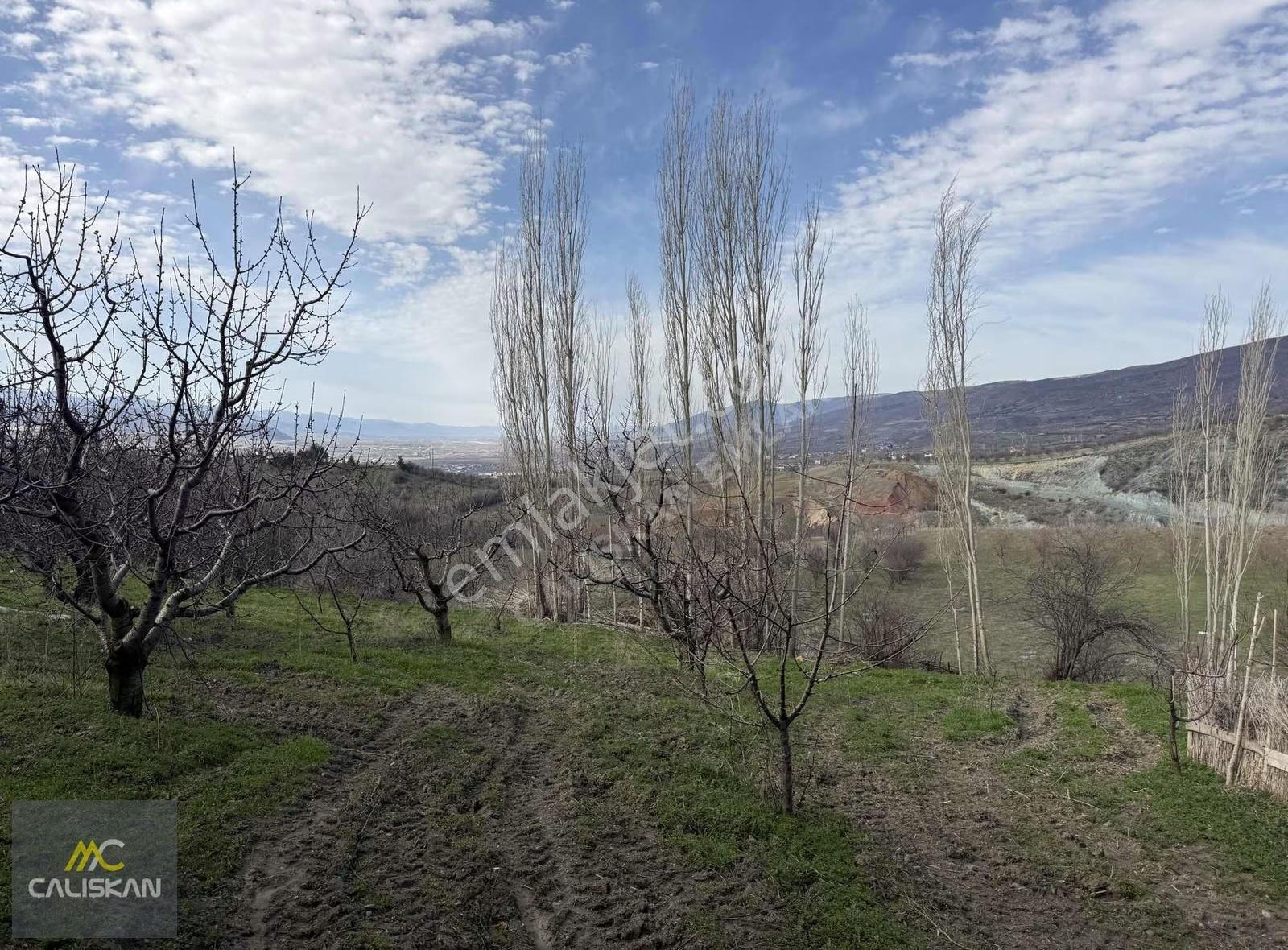 Kocacık Köyü Satılık Tek Tapu Ev Ve Arsa - Görsel 24