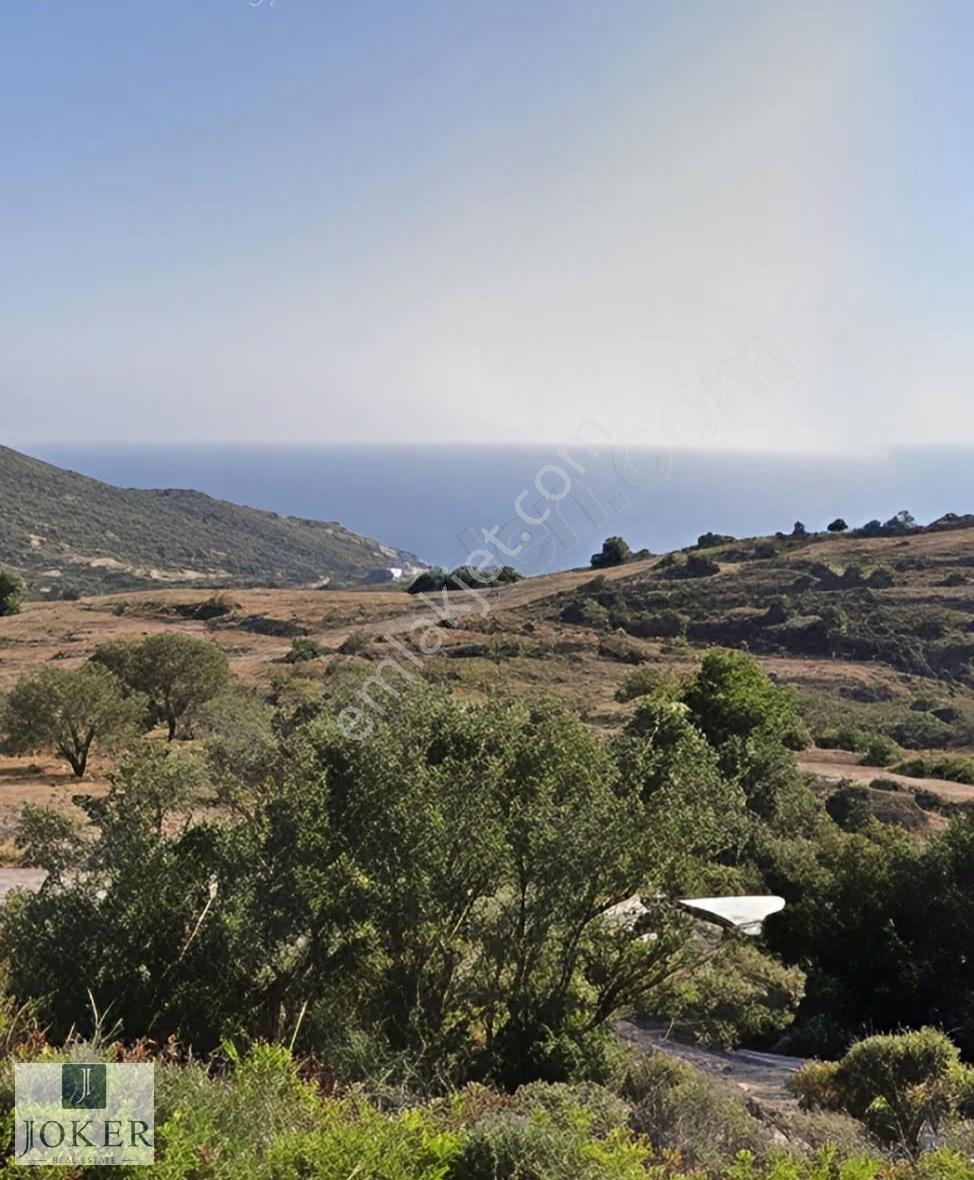 Joker: Datça Knidos'a 5 Dk Deniz Manzaralı Eşsiz Satılık Tarla - Görsel 6