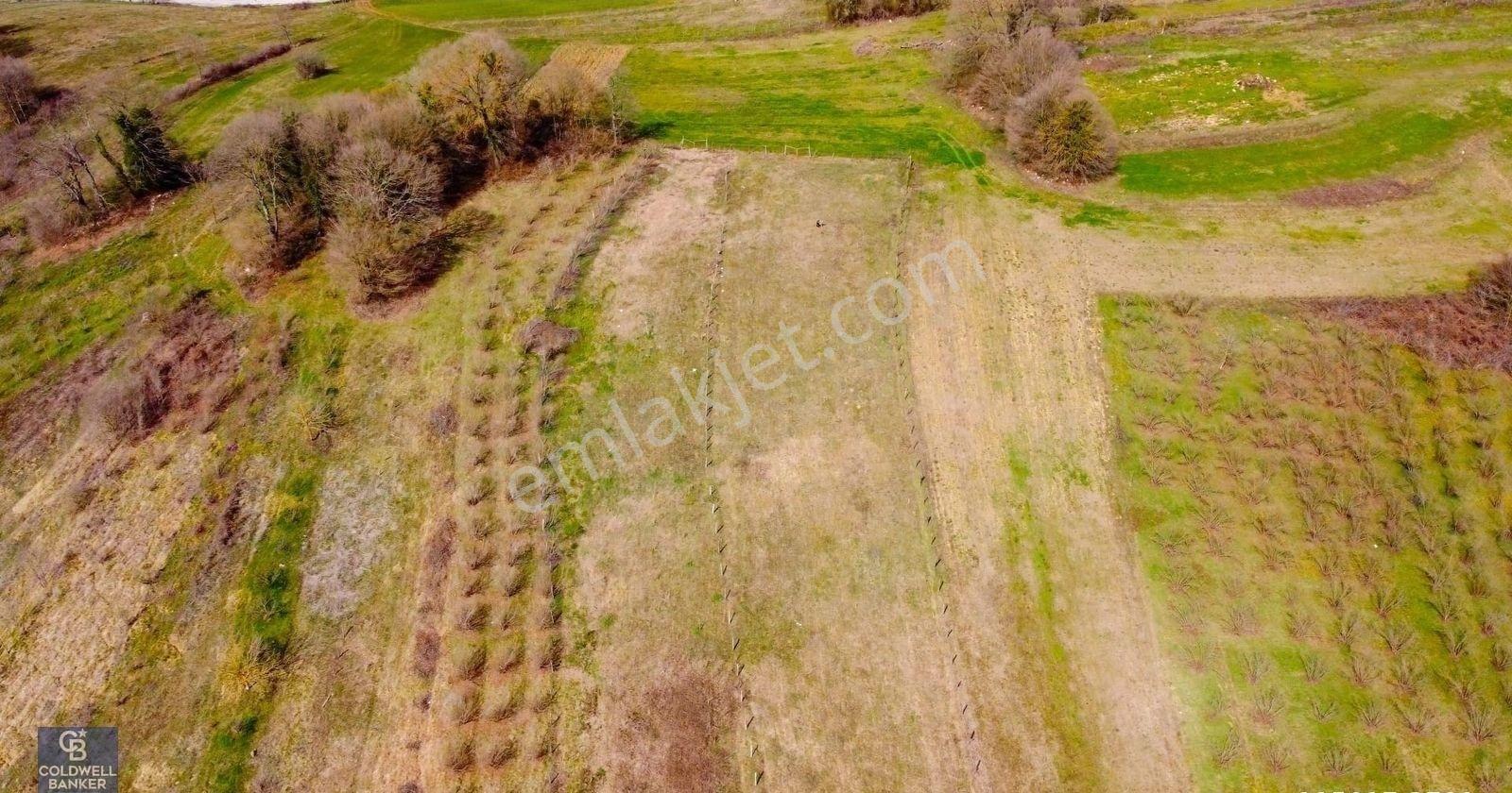İzmit Bulduk Köyün'de Yerleşim Alanı Yakın Satılık 4000m2 Tarla - Görsel 12