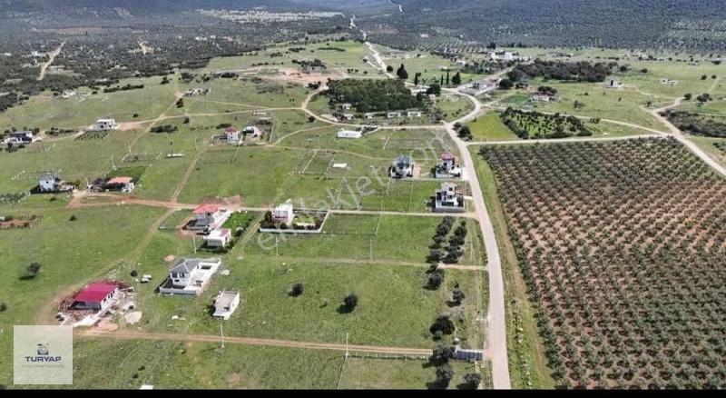 Didim Bodrum Yolu Üzeri 554 M2 20/40 İmarlı Satılık Arsa - Görsel 8