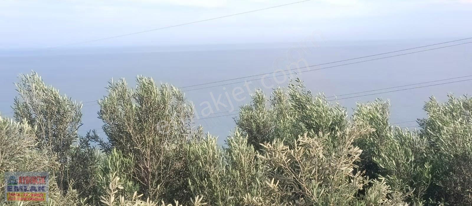 Aydıncık Emlaktan Satılık Tarla 493m2 - Görsel 5