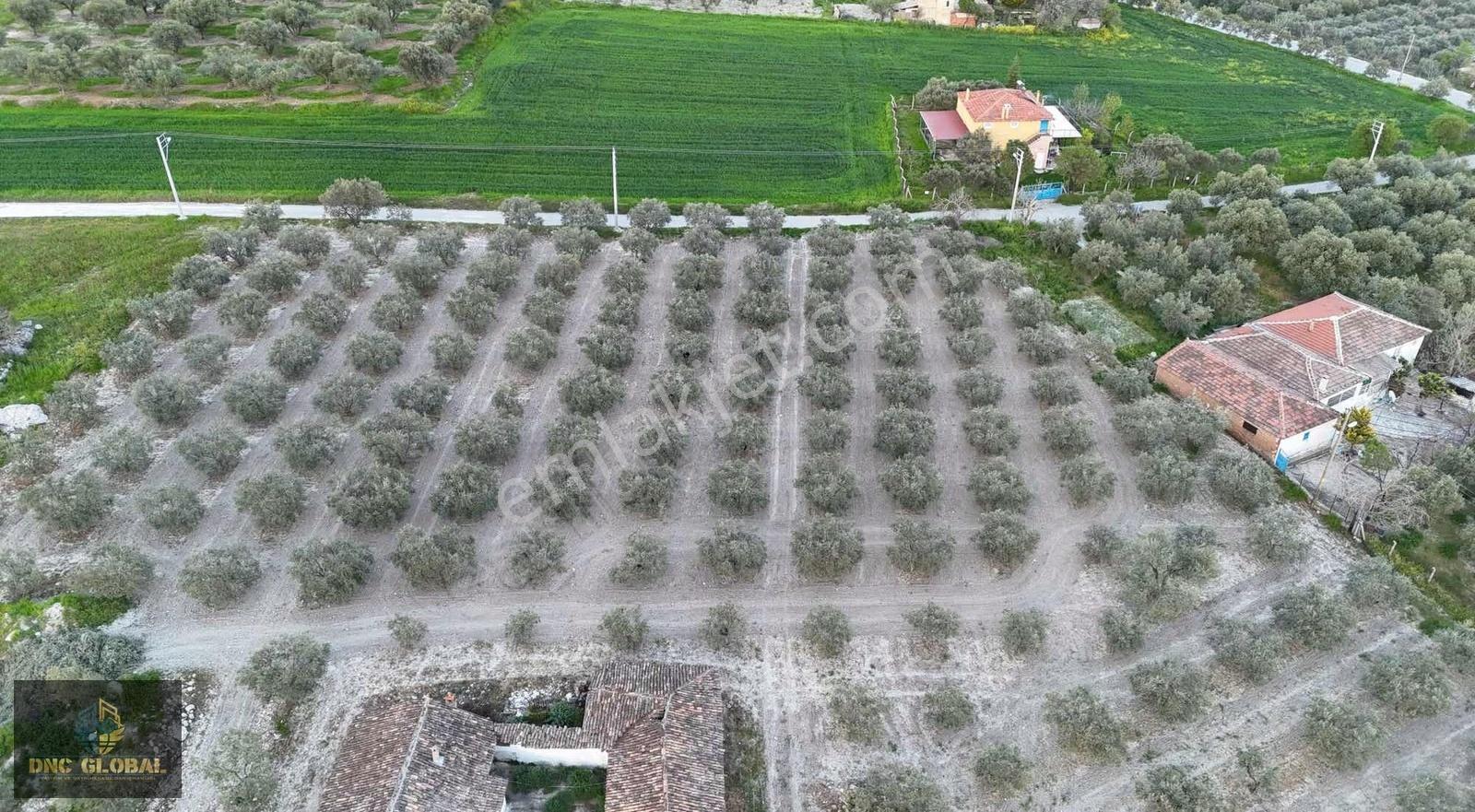 Manisa Gülbahçede İmarlı Arsa - Görsel 2