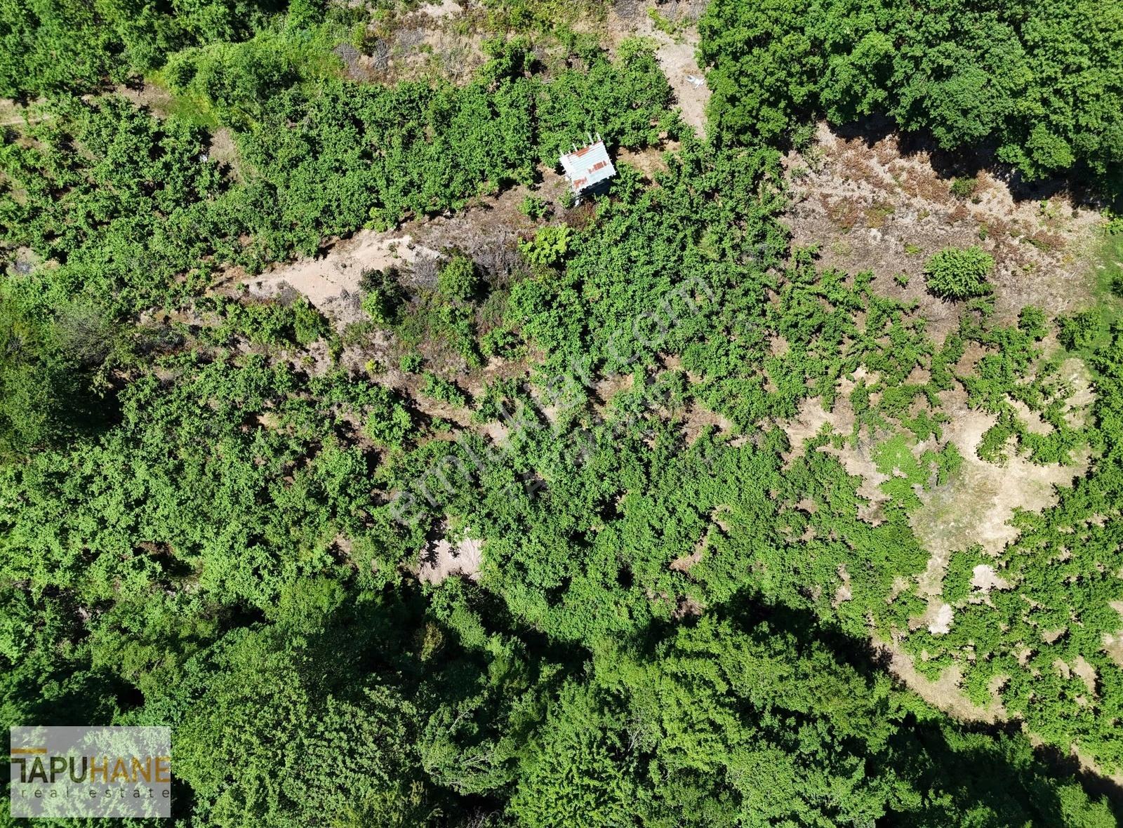 Tapuhane'den Kazimiyede Satılık 3402m2 Tarla - Görsel 11