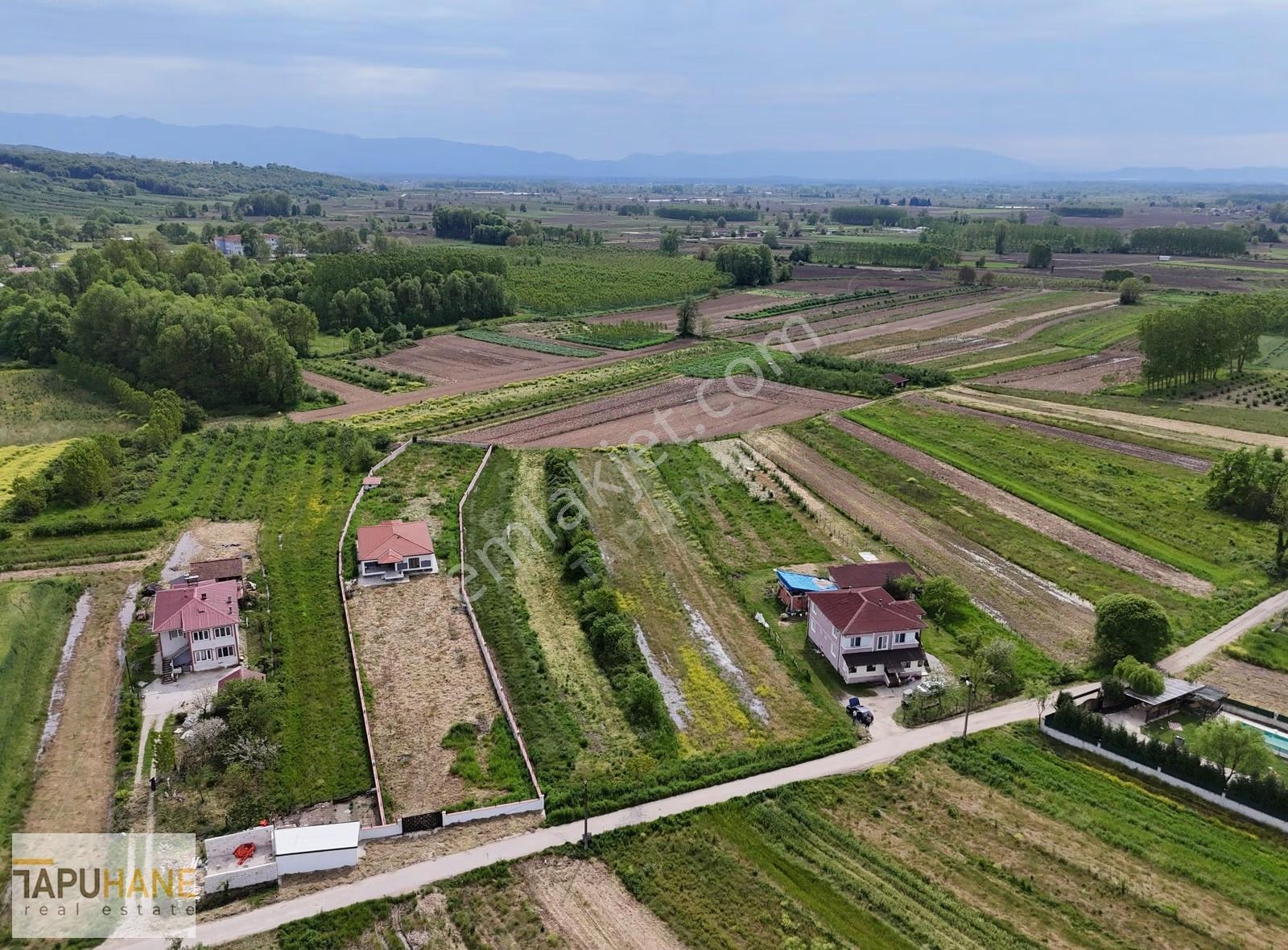 Tapuhaneden Aşağı Çalıcada Satılık Arsa - Görsel 17