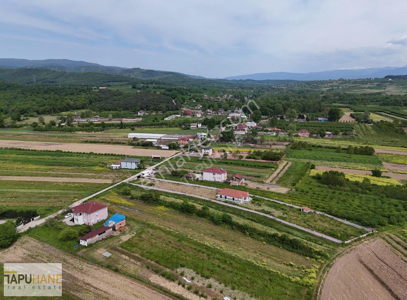 Tapuhaneden Aşağı Çalıcada Satılık Arsa - Görsel 34