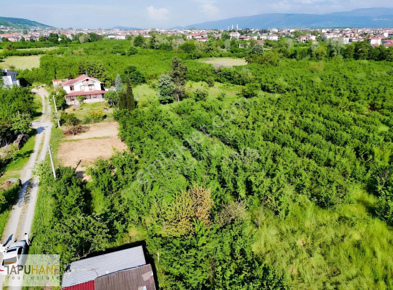 Tapuhane'den Kemaliye Mah. 687m2 Satılık İmarlı Arsa - Görsel 3