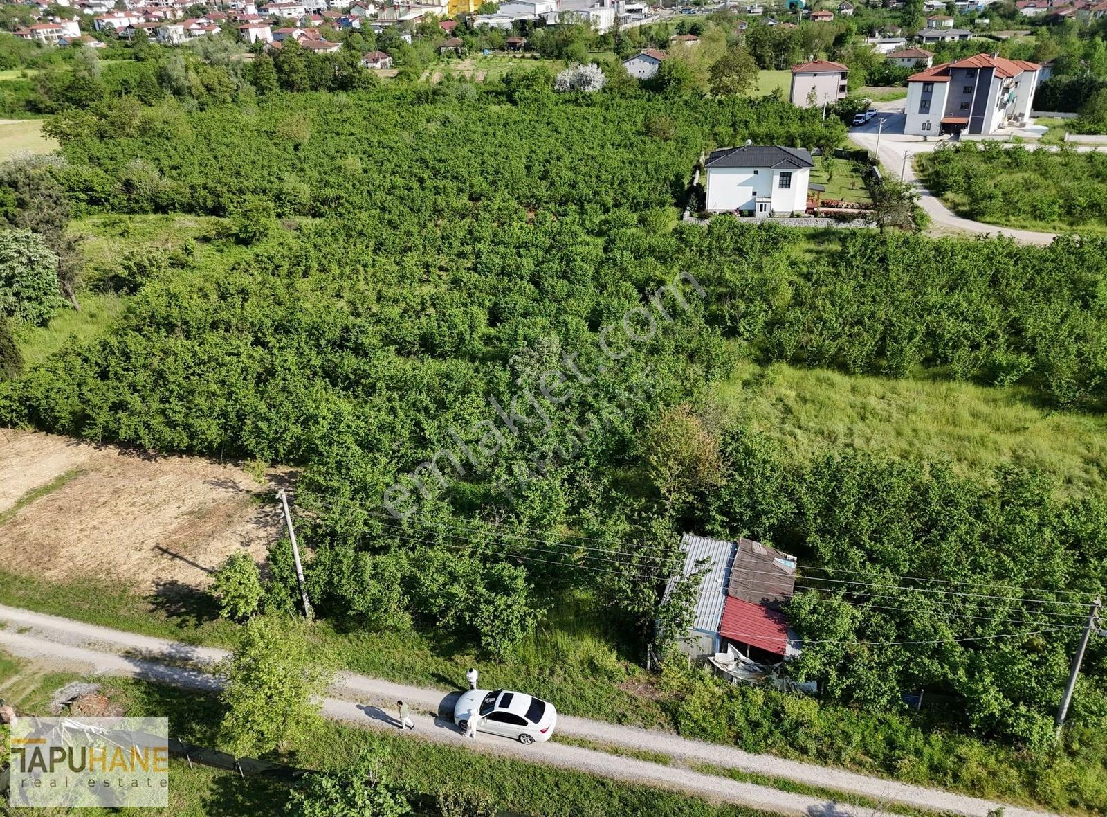 Tapuhane'den Kemaliye Mah. 687m2 Satılık İmarlı Arsa - Görsel 9