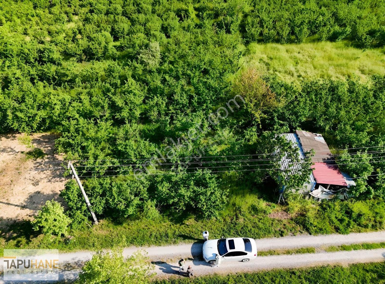 Tapuhane'den Kemaliye Mah. 687m2 Satılık İmarlı Arsa - Görsel 7