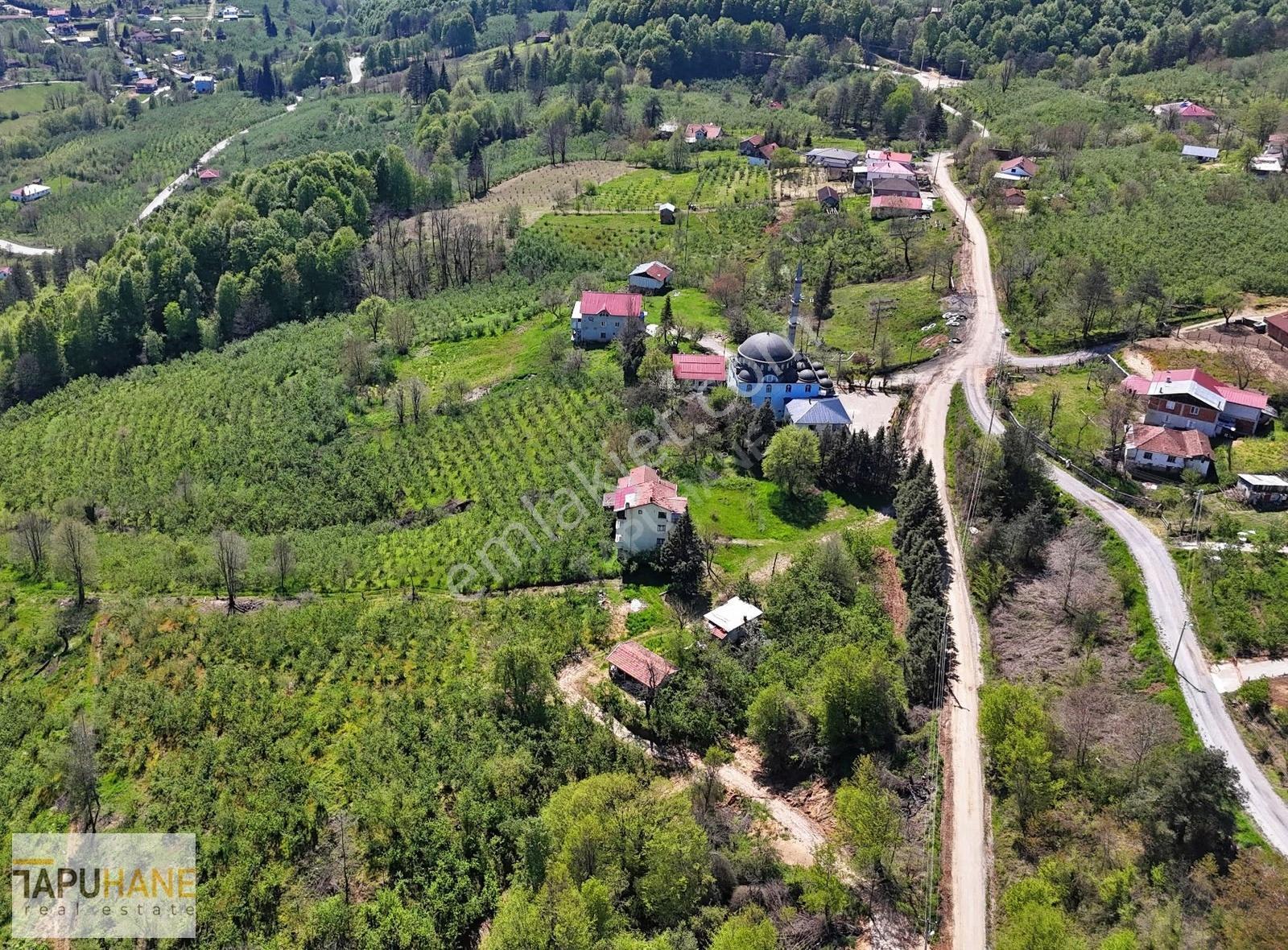 Tapuhaneden 13.660m2 Arsa İçinde 3 Katlı Müstakil Ev - Görsel 17