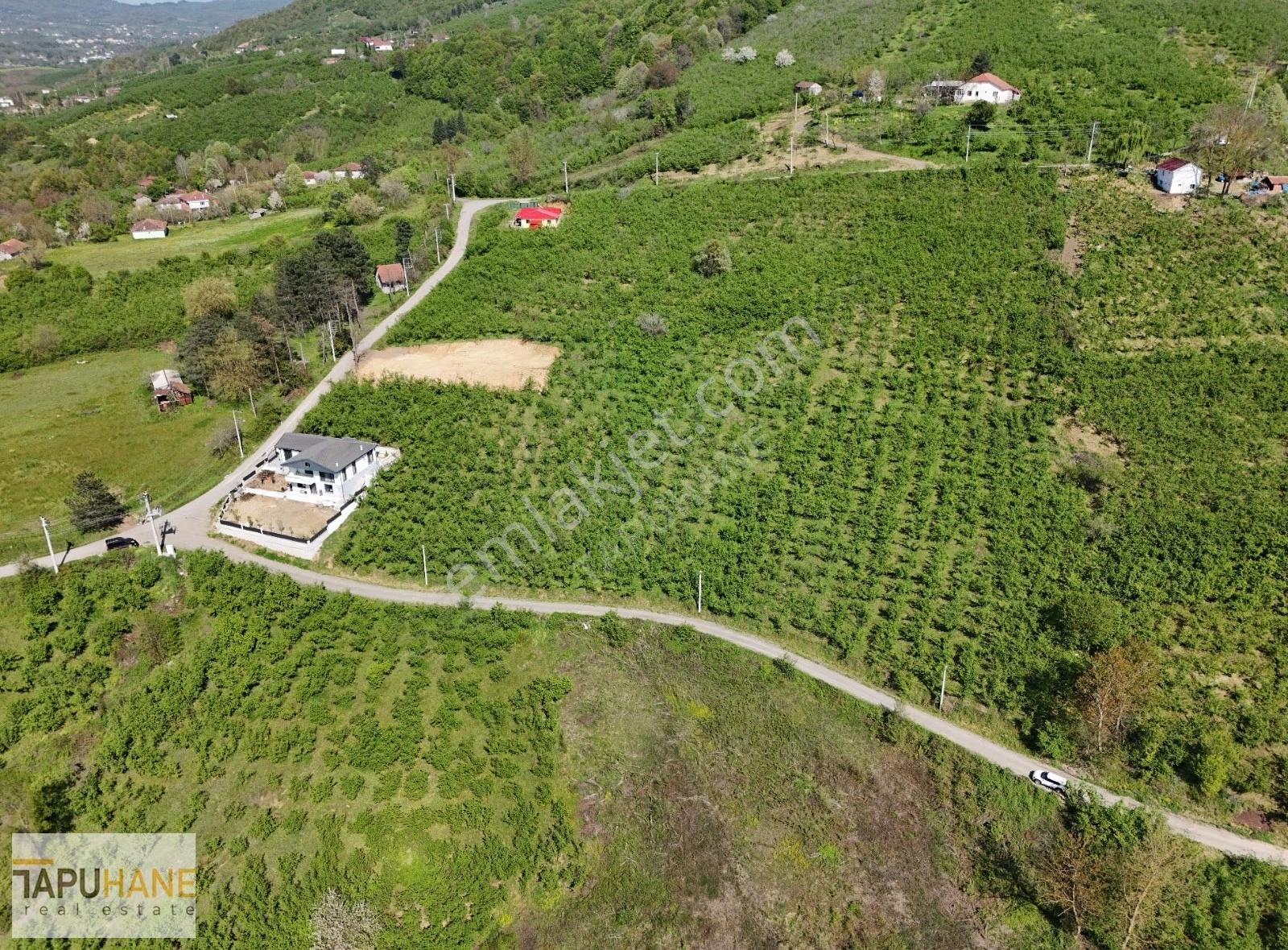 Tapuhane' Den Satılık 1400 M2 İmarlı Arsa - Görsel 2