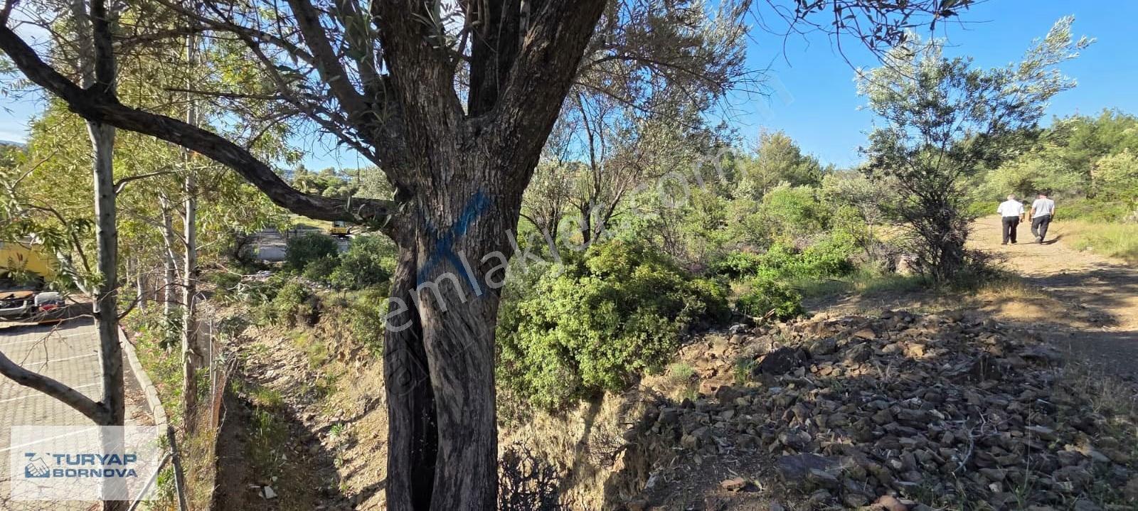 Bornova Kemalpaşa Mahallesi'nde Satılık Yatırımlık - Görsel 8