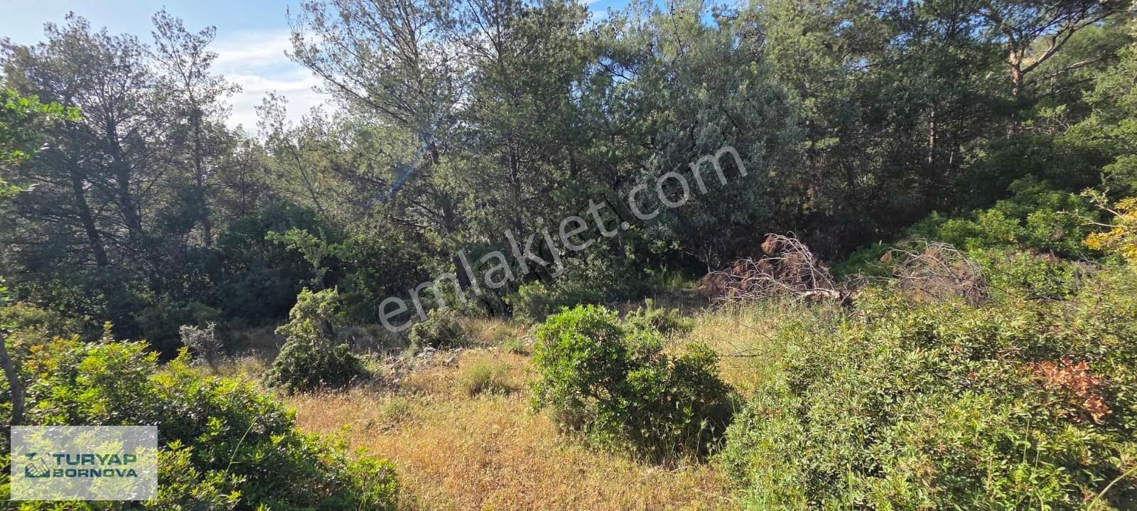 Bornova Kemalpaşa Mahallesi'nde Satılık Yatırımlık - Görsel 9