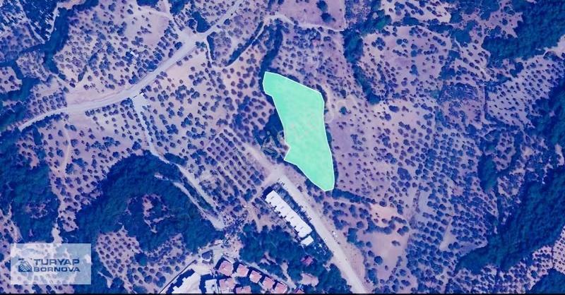 Bornova Erzene Papas Kuyusu Satılık 9.780m2 - Görsel 3