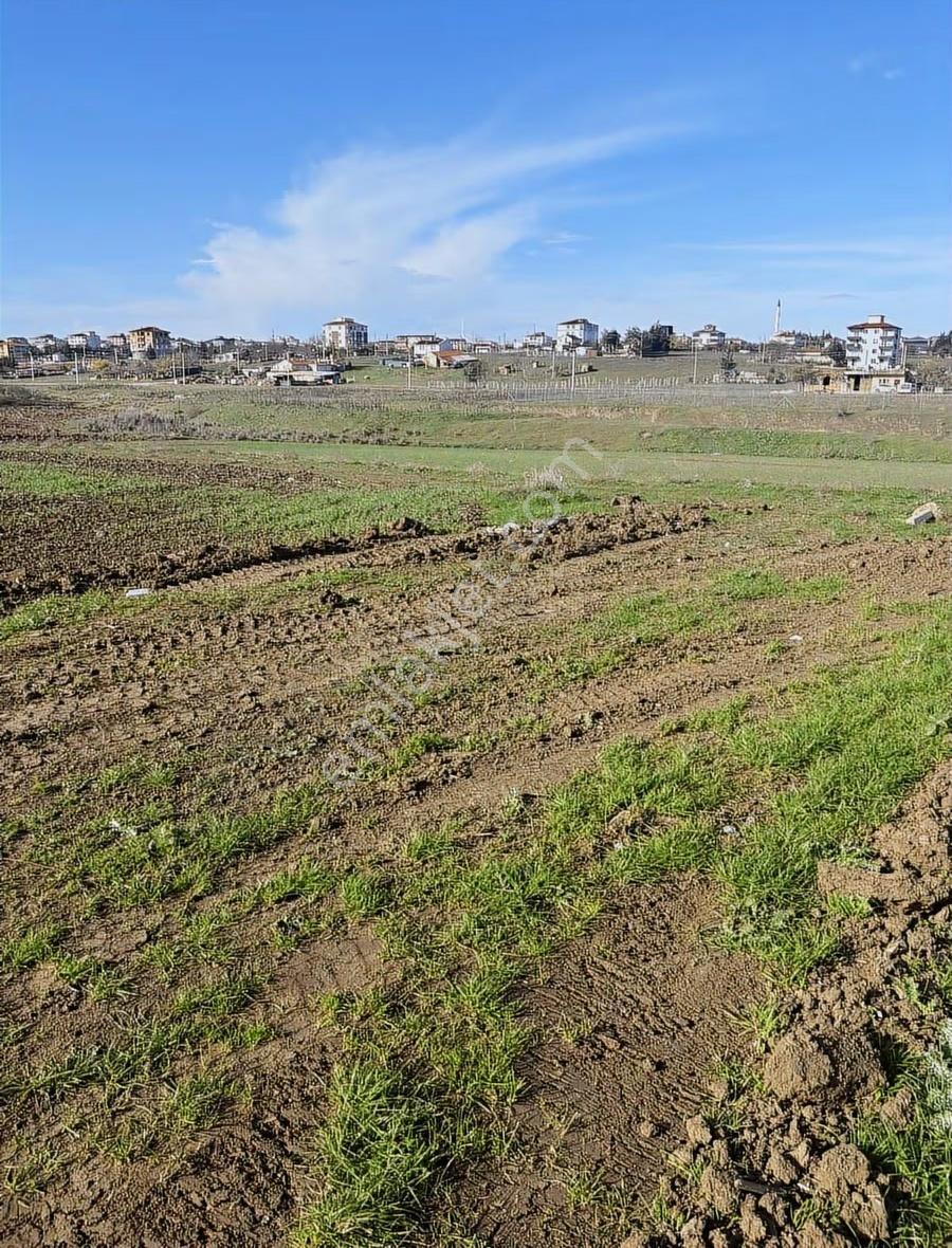 Ergene Devlet Hastanesine Yakın 392 M2 İmarlı Arsa - Görsel 2