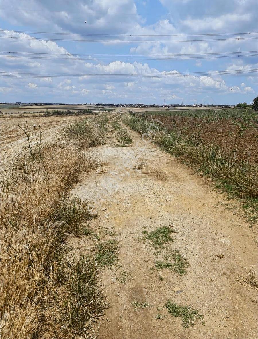 Çorlu Seymen Ana Cadde Üstünde Satılık 230 M2 Parsel - Görsel 15