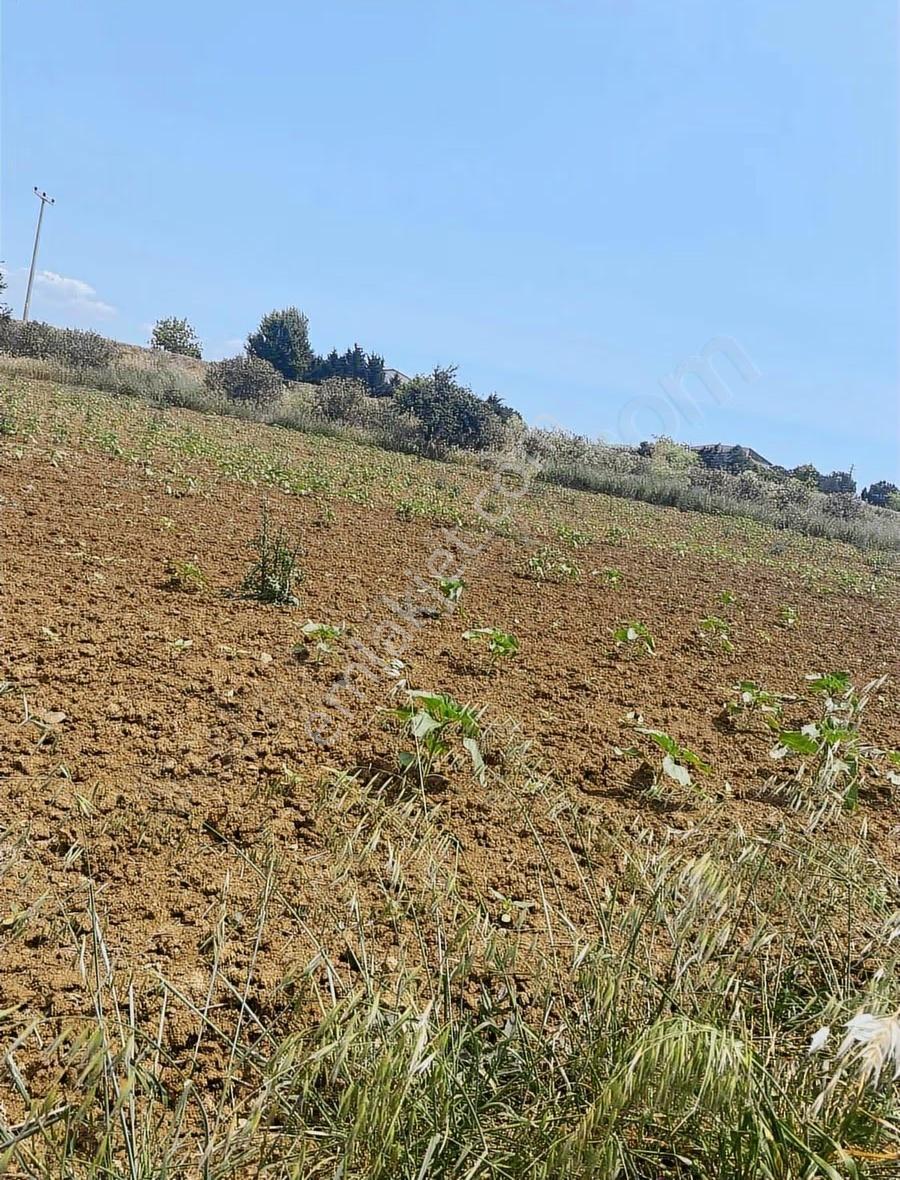 Çorlu Seymen Ana Cadde Üstünde Satılık 230 M2 Parsel - Görsel 13