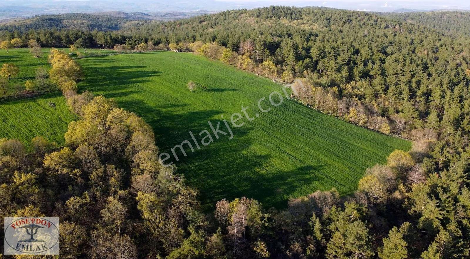 Bayramıç Muratlar'da 30.400 M2 Harika Verimli Bakımlı Tarla - Görsel 6