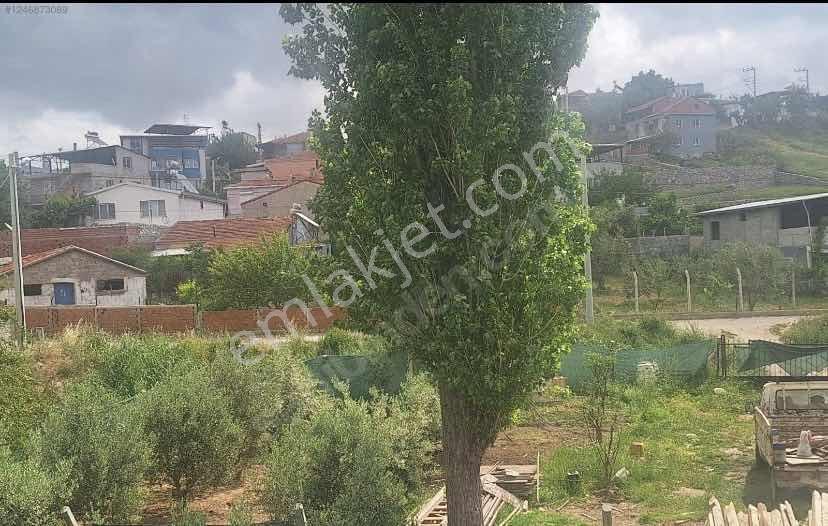 Kemalpaşa Aşağıkızılcada Kupon Arsa - Görsel 3