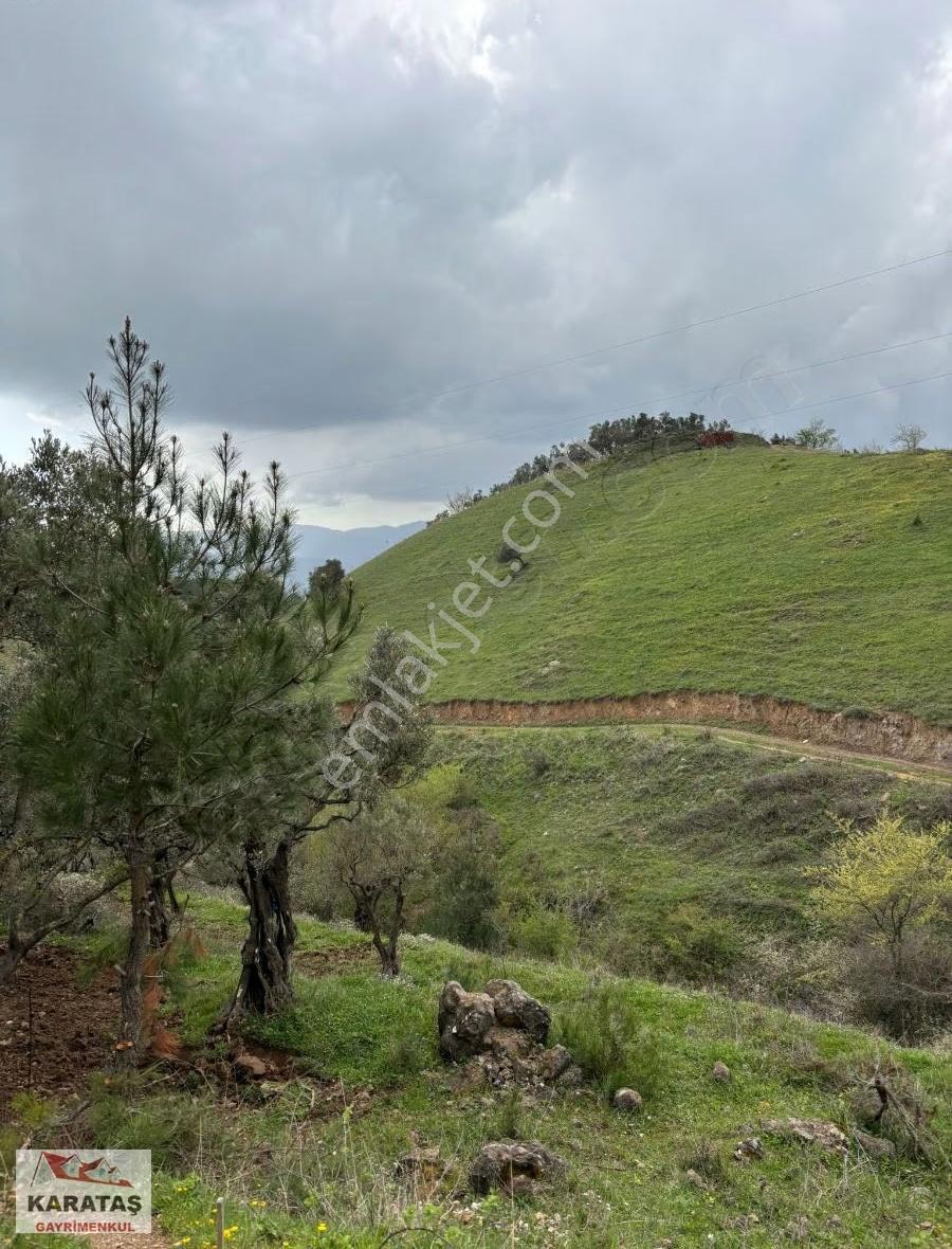 Orhangazi Yeniköyde Yola Cephe Satılık Kupon Arazi - Görsel 8