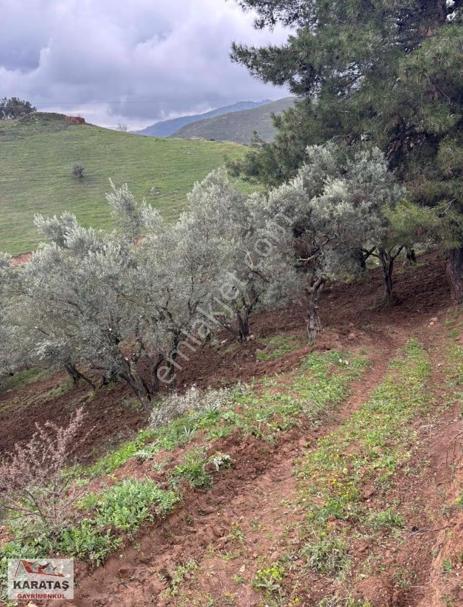 Orhangazi Yeniköyde Yola Cephe Satılık Kupon Arazi - Görsel 21