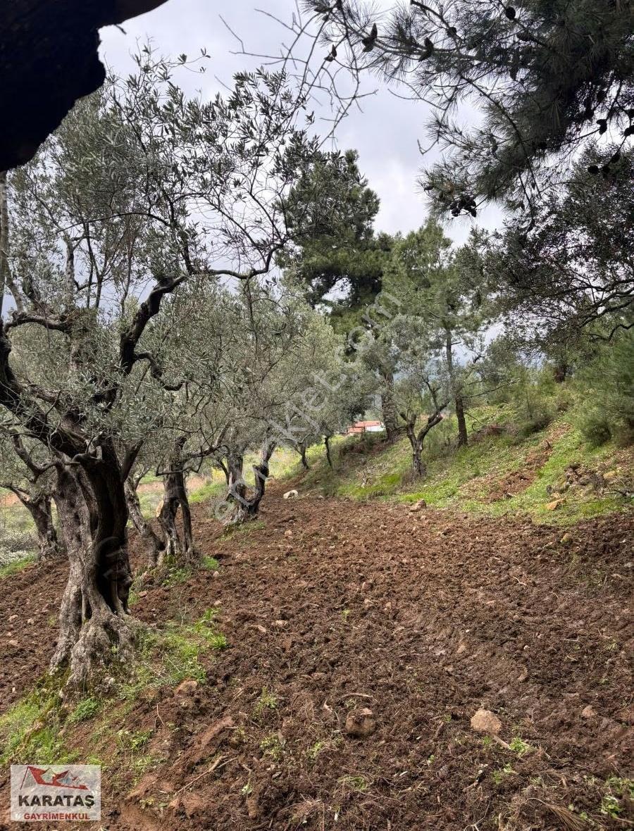 Orhangazi Yeniköyde Yola Cephe Satılık Kupon Arazi - Görsel 9