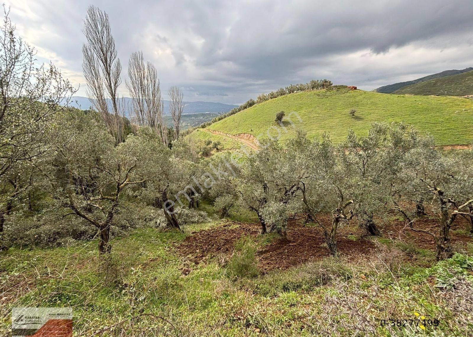 Orhangazi Yeniköyde Yola Cephe Satılık Kupon Arazi - Görsel 10