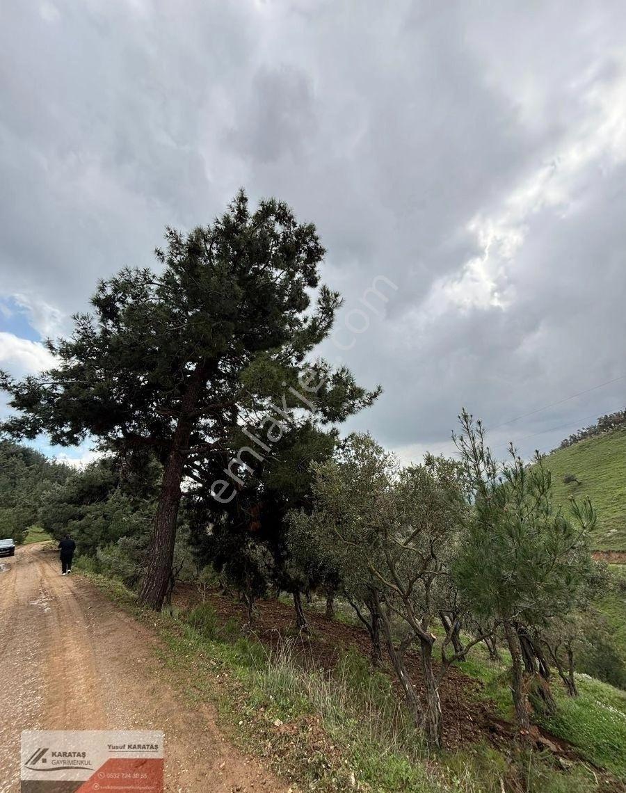 Orhangazi Yeniköyde Yola Cephe Satılık Kupon Arazi - Görsel 19
