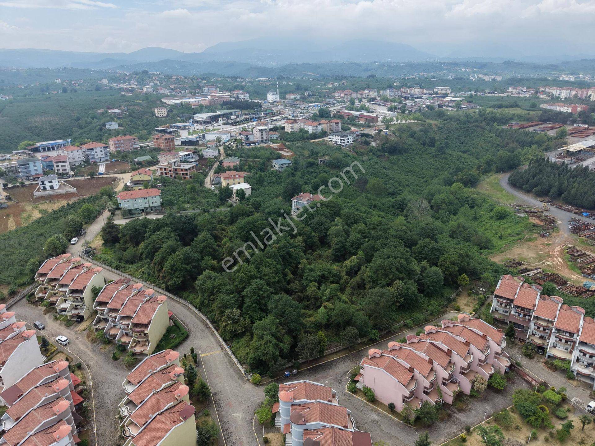 Akçakoca Ayazlı Mahallesi’nde 12.852 M² 3 Kat Konut İmarlı Satılık Arsa - Görsel 34