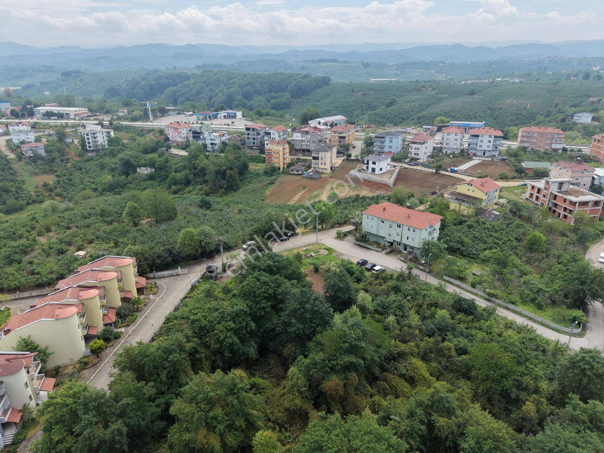 Akçakoca Ayazlı Mahallesi’nde 12.852 M² 3 Kat Konut İmarlı Satılık Arsa - Görsel 33