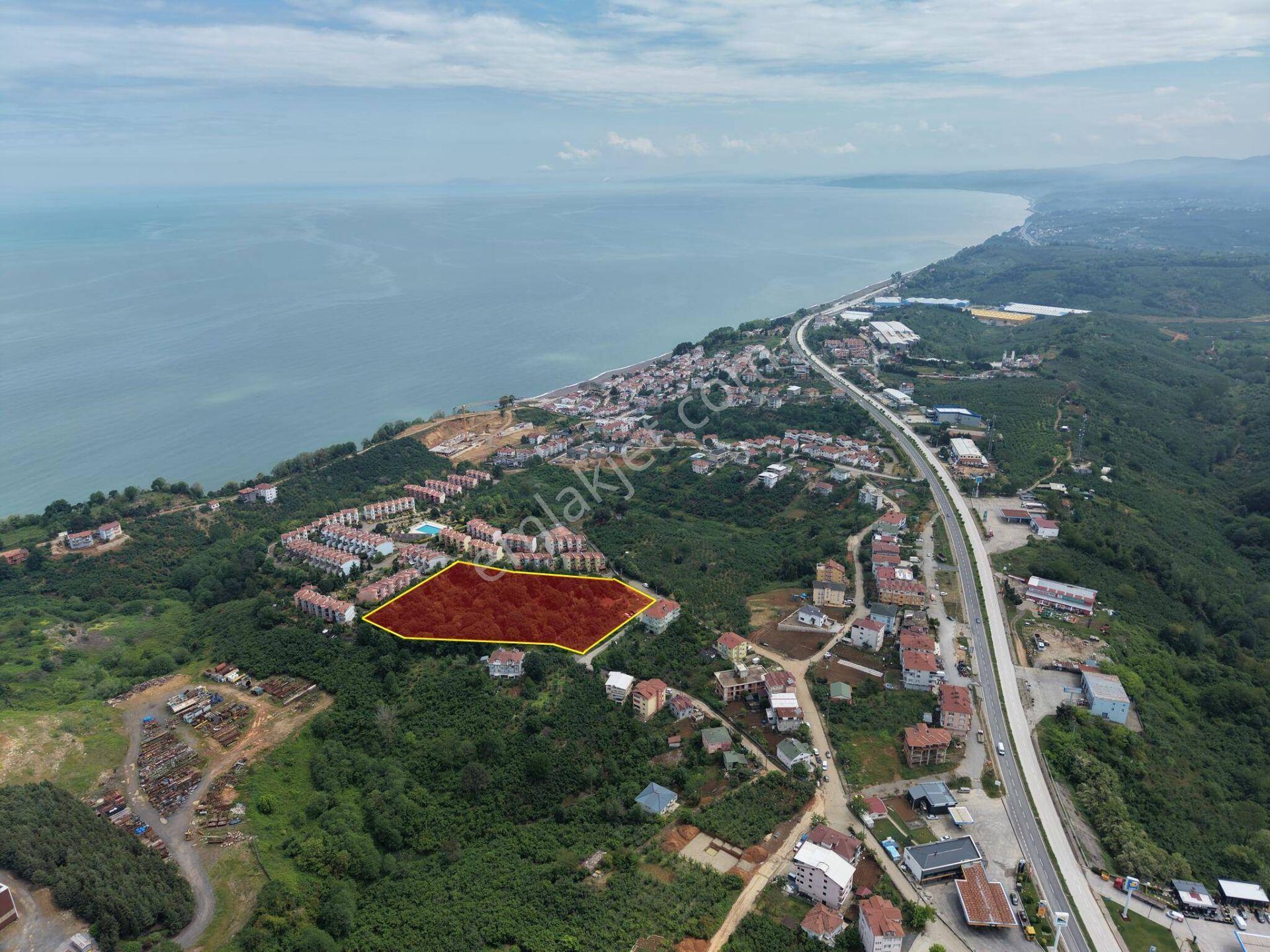 Akçakoca Ayazlı Mahallesi’nde 12.852 M² 3 Kat Konut İmarlı Satılık Arsa - Görsel 4