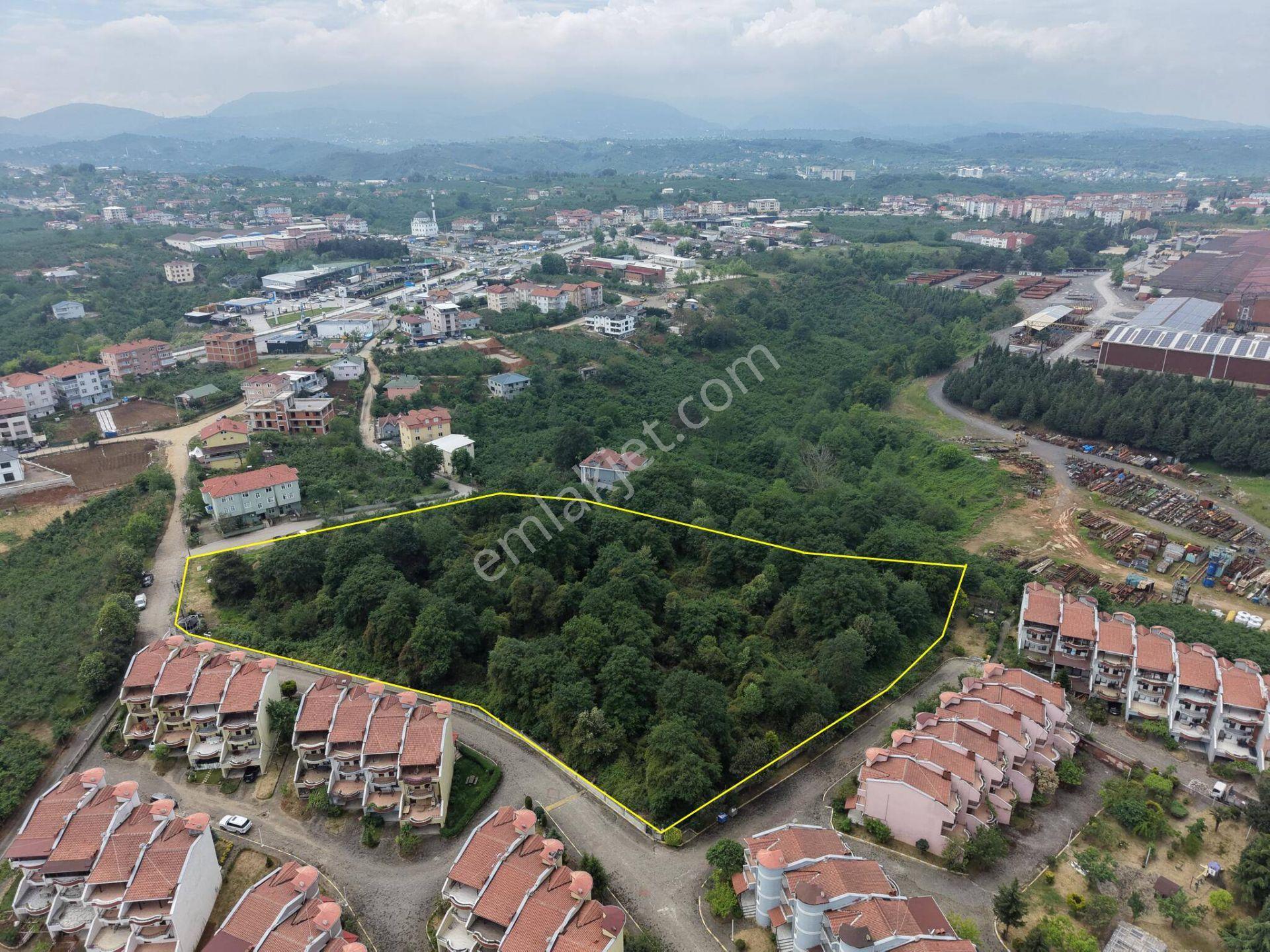 Akçakoca Ayazlı Mahallesi’nde 12.852 M² 3 Kat Konut İmarlı Satılık Arsa - Görsel 15