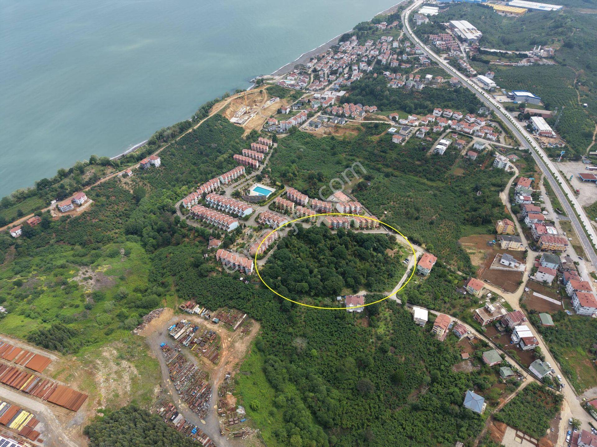 Akçakoca Ayazlı Mahallesi’nde 12.852 M² 3 Kat Konut İmarlı Satılık Arsa - Görsel 19