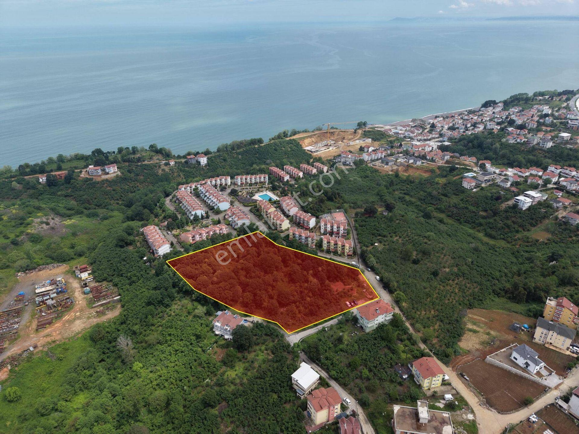 Akçakoca Ayazlı Mahallesi’nde 12.852 M² 3 Kat Konut İmarlı Satılık Arsa