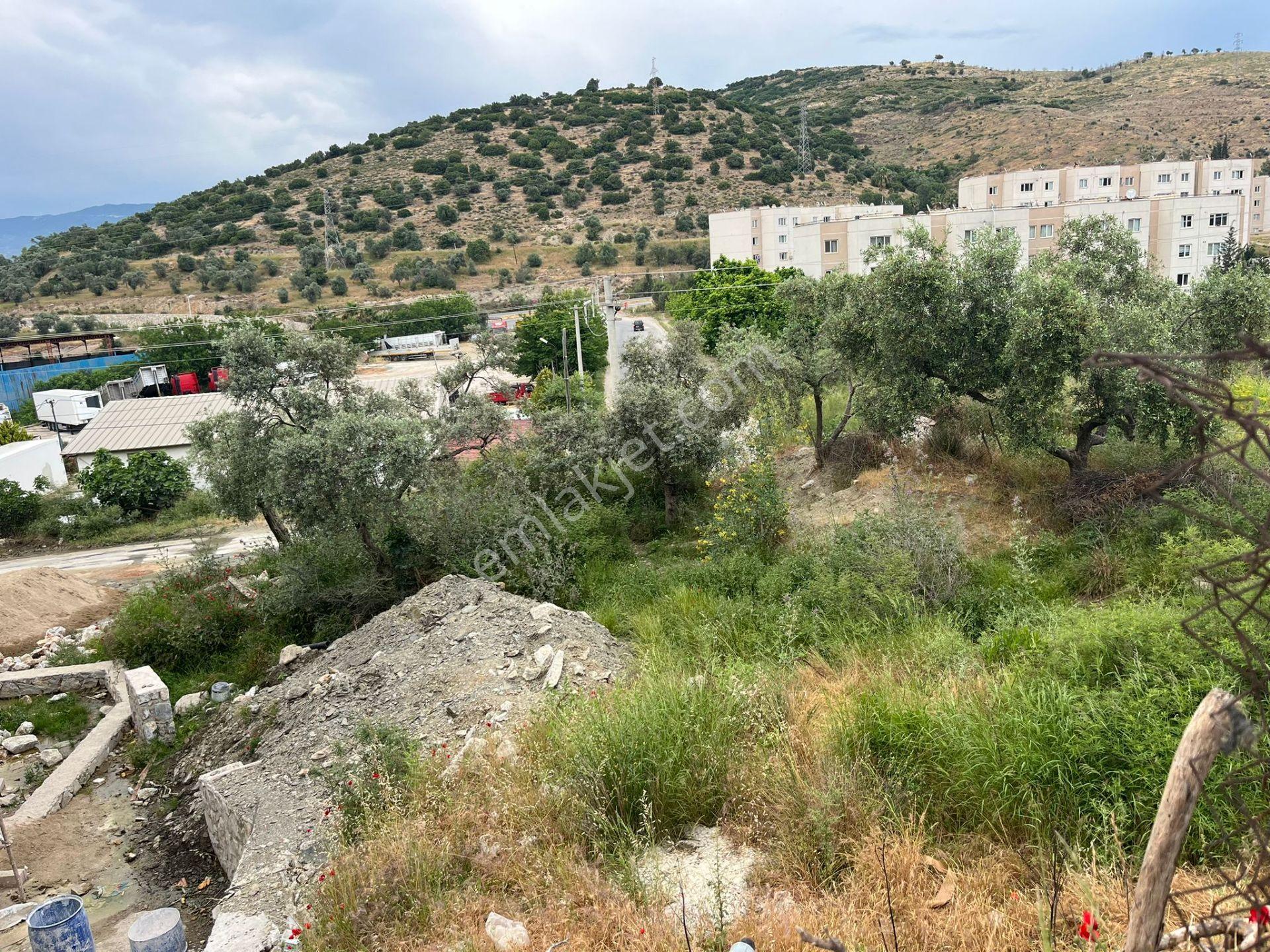 Ege'de Yatırımlık Arsa | 484 M² | Ayrık Nizam İmarlı Muğla/milas - Görsel 24