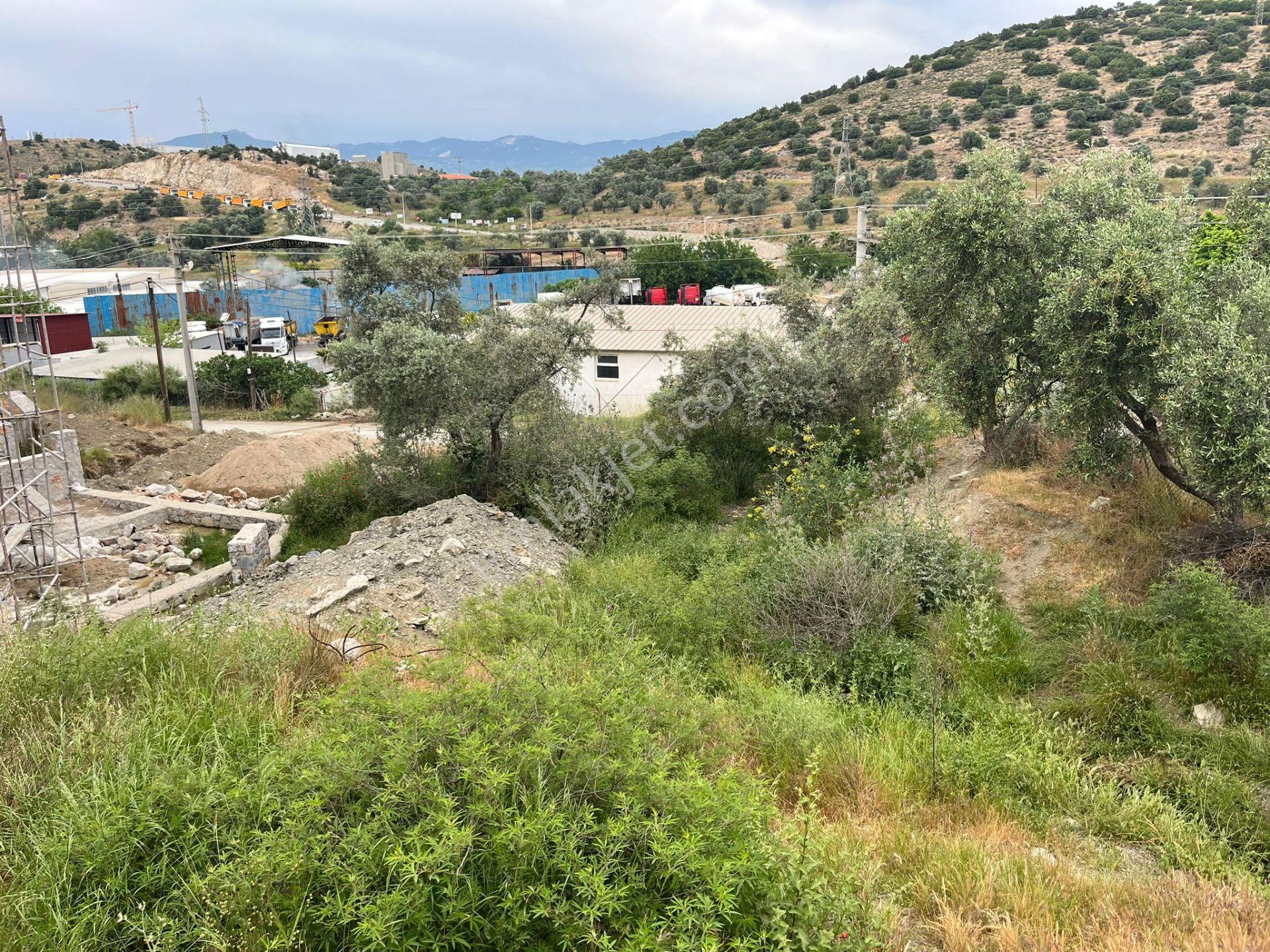 Ege'de Yatırımlık Arsa | 484 M² | Ayrık Nizam İmarlı Muğla/milas - Görsel 23