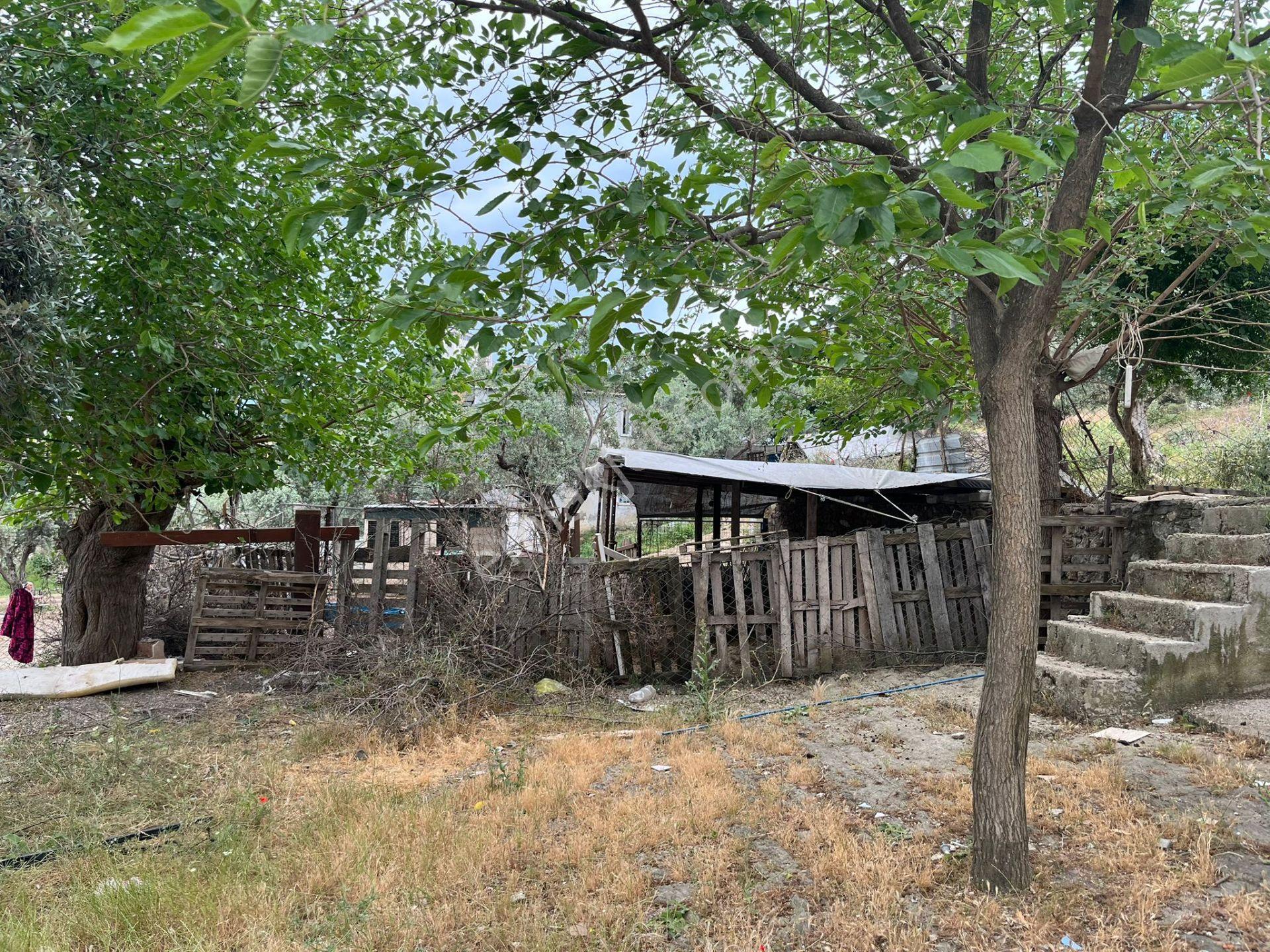 Ege'de Yatırımlık Arsa | 484 M² | Ayrık Nizam İmarlı Muğla/milas - Görsel 9