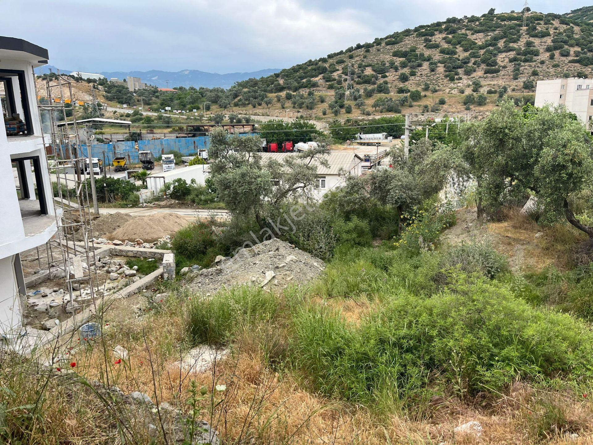 Ege'de Yatırımlık Arsa | 484 M² | Ayrık Nizam İmarlı Muğla/milas - Görsel 22