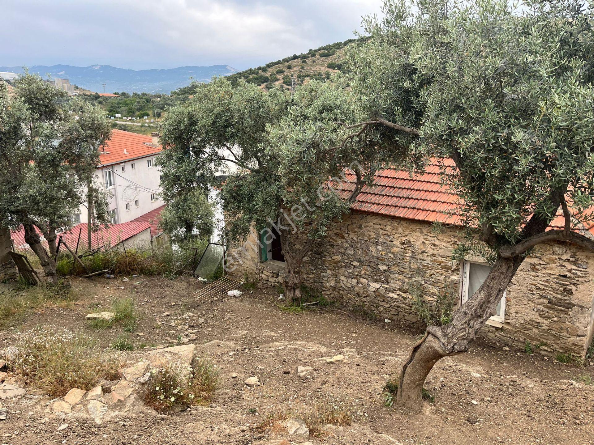 Ege'de Yatırımlık Arsa | 484 M² | Ayrık Nizam İmarlı Muğla/milas - Görsel 15