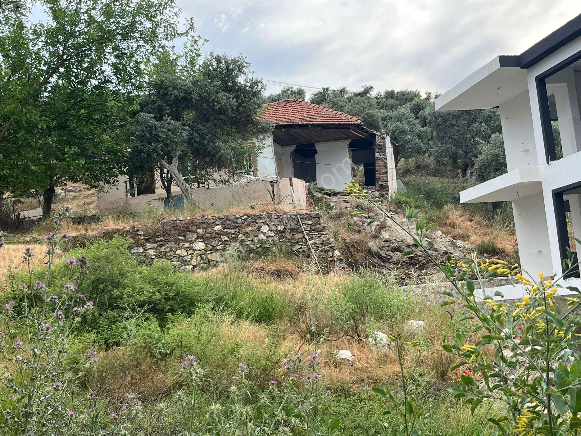 Ege'de Yatırımlık Arsa | 484 M² | Ayrık Nizam İmarlı Muğla/milas