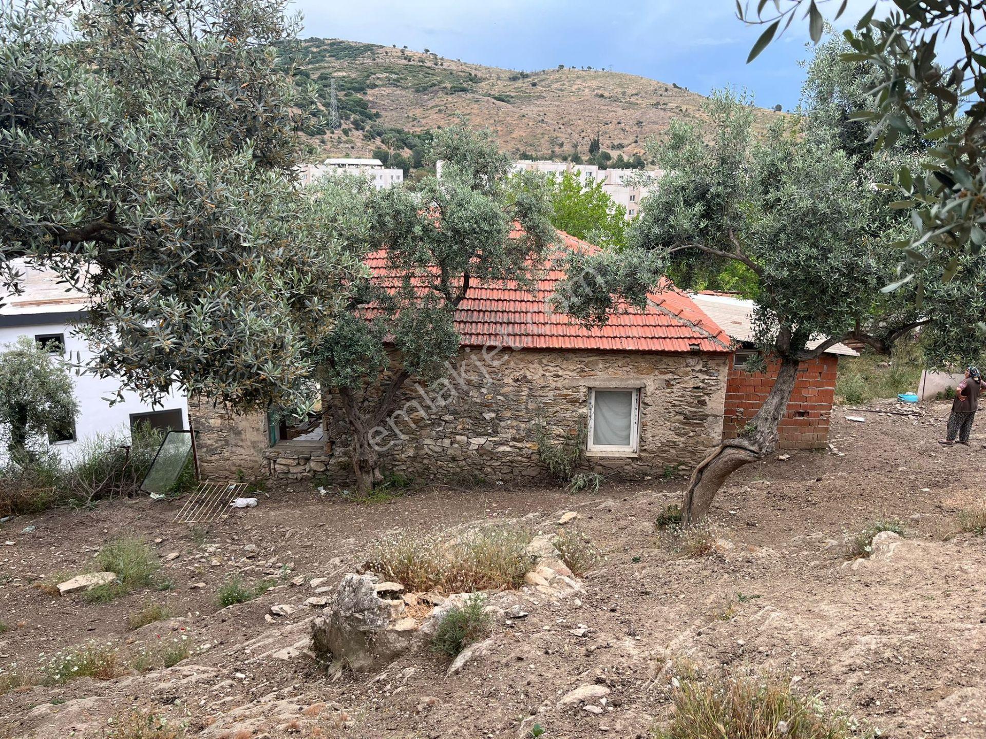 Ege'de Yatırımlık Arsa | 484 M² | Ayrık Nizam İmarlı Muğla/milas - Görsel 6