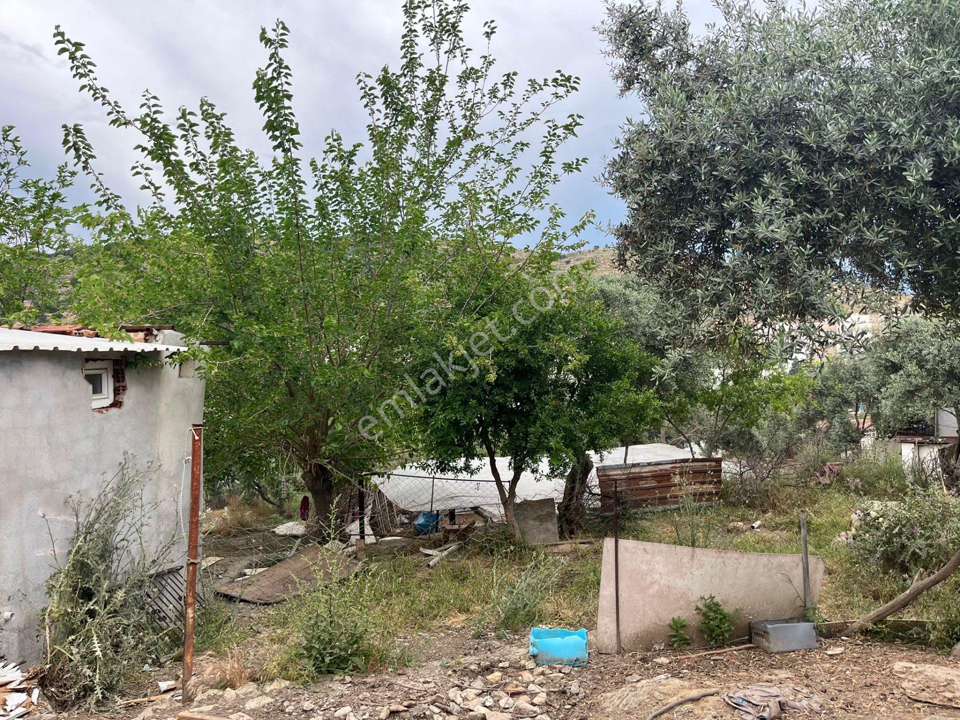 Ege'de Yatırımlık Arsa | 484 M² | Ayrık Nizam İmarlı Muğla/milas - Görsel 3