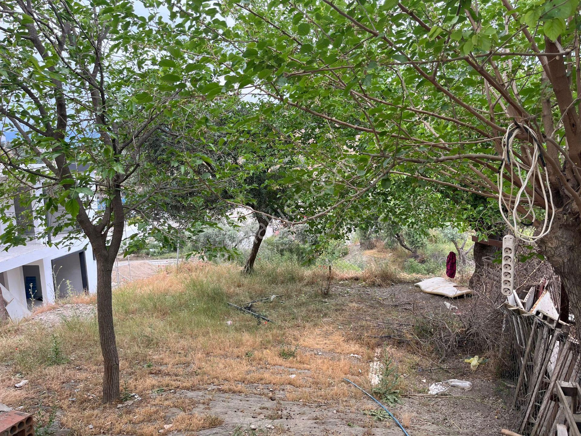 Ege'de Yatırımlık Arsa | 484 M² | Ayrık Nizam İmarlı Muğla/milas - Görsel 4