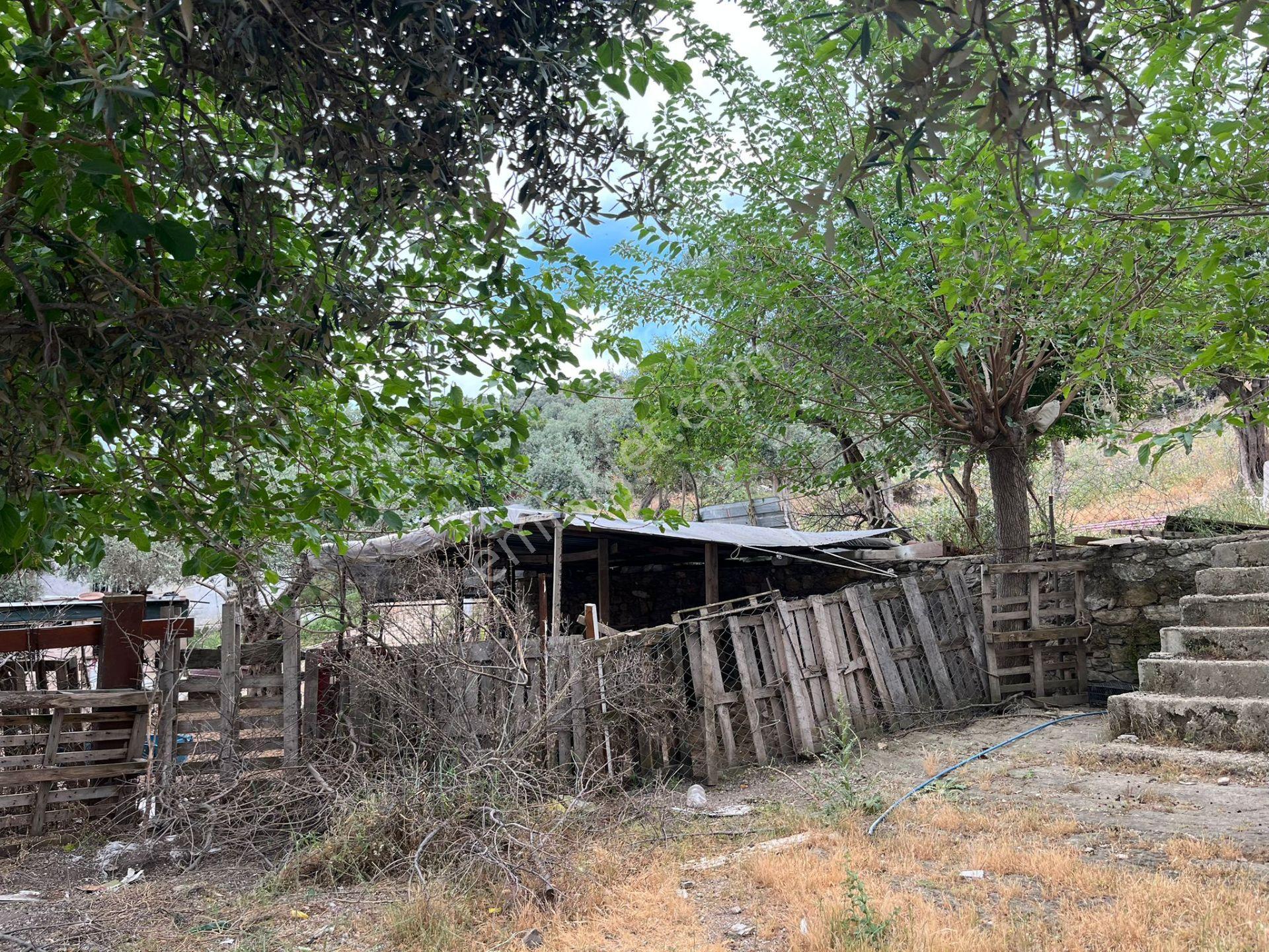 Ege'de Yatırımlık Arsa | 484 M² | Ayrık Nizam İmarlı Muğla/milas - Görsel 25
