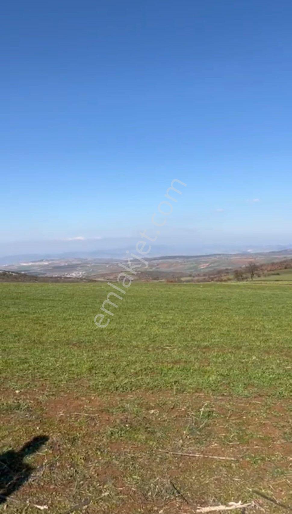 Akbıyık'ta Satılık 1326 M2 Hobi Bahçesi !!! Fırsat Tarla !!! - Görsel 4