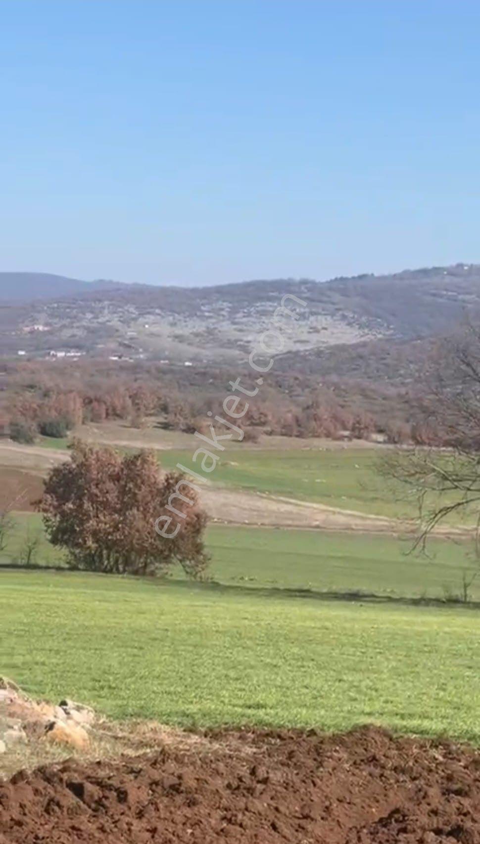Akbıyık'ta Satılık 1326 M2 Hobi Bahçesi !!! Fırsat Tarla !!!